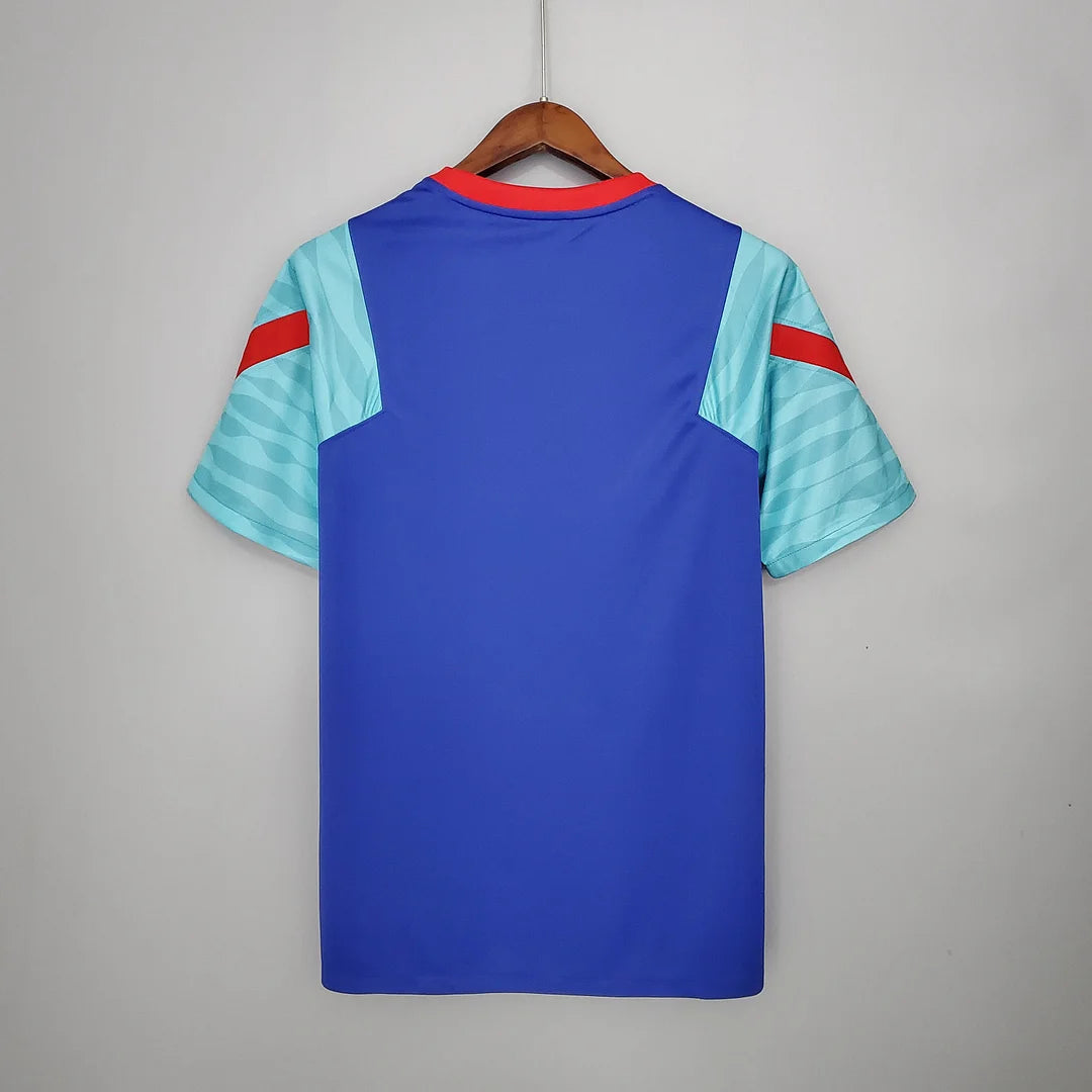 2021/2022 Barcelona Jersey Training Wear Blue And Green